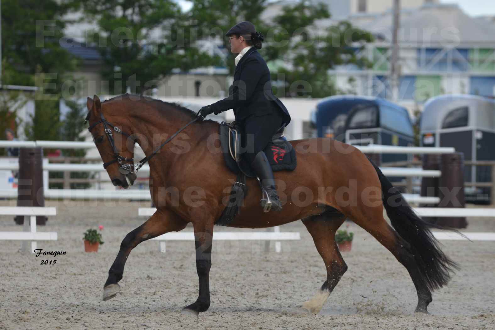 Salon Equitaine de Bordeaux 2015 - Concours d'Equitation de Travail avec chevaux Ibériques - E - 5