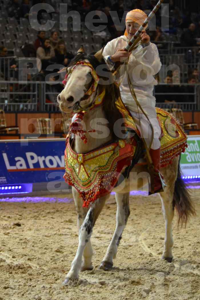 Cheval Passion 2014 - Chevaux BARBES - Notre Sélection - 08