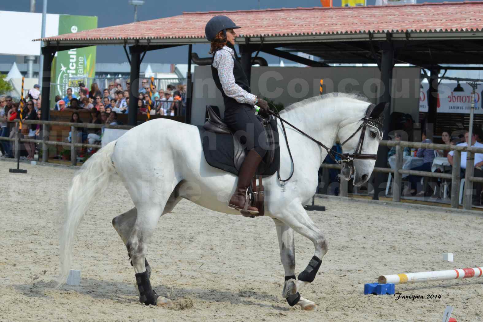 Salon Equitaine de Bordeaux en 2014 - concours Equitation de travail - Épreuve de Maniabilité chronométré - G - 3