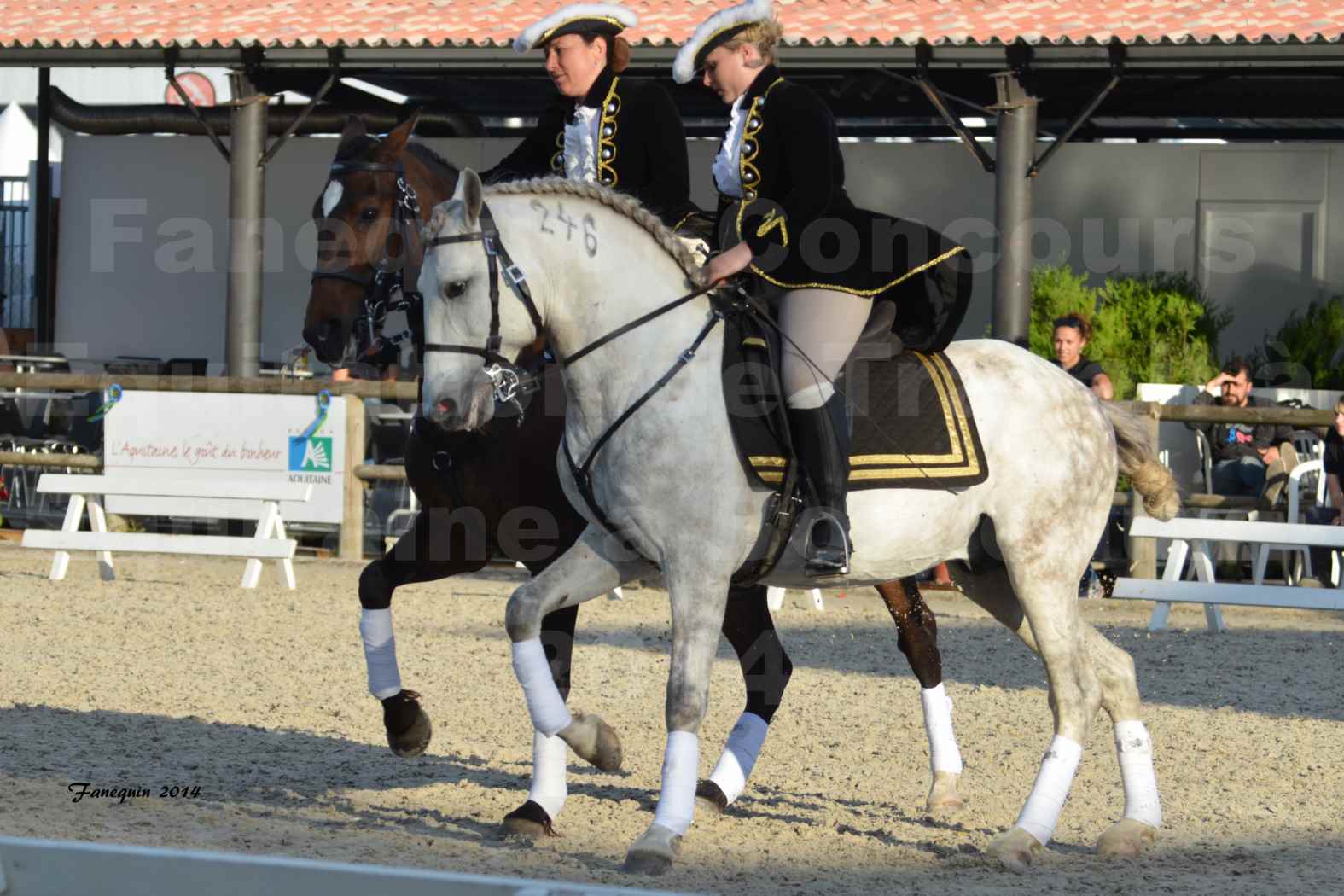 Carrousel de cavalières Equitation de travail lors du salon "Equitaine" à Bordeaux en 2014 - 45