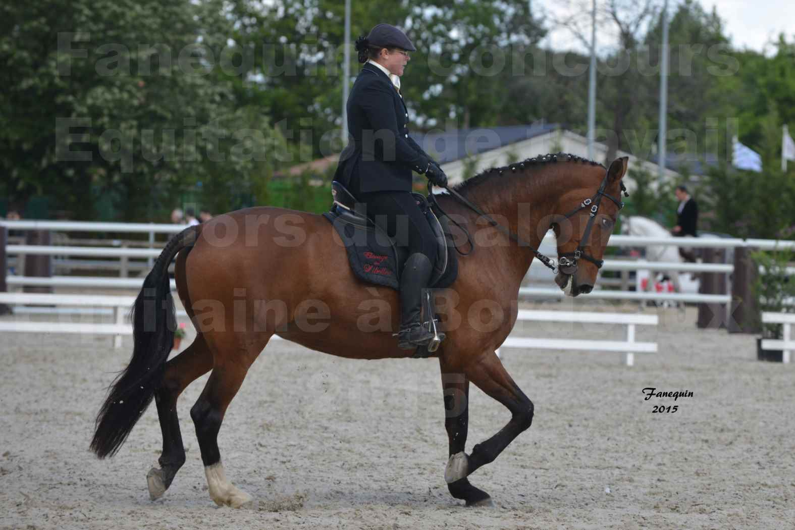 Salon Equitaine de Bordeaux 2015 - Concours d'Equitation de Travail avec chevaux Ibériques - E - 1