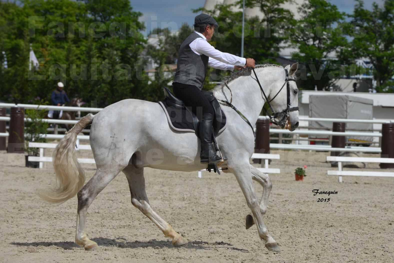 Salon Equitaine de Bordeaux 2015 - Concours d'Equitation de Travail avec chevaux Ibériques - X - 10