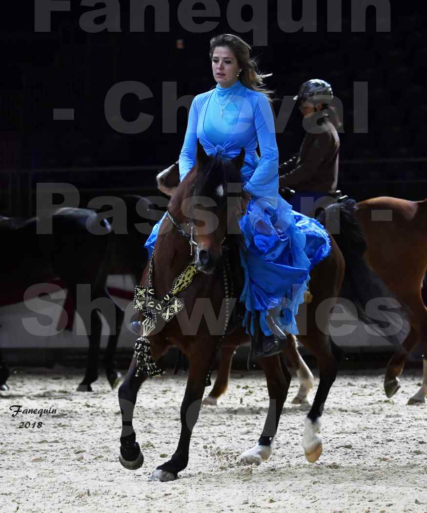 Cheval passion 2018 - Show des éleveurs - Chevaux ARABES - Notre Sélection - 05