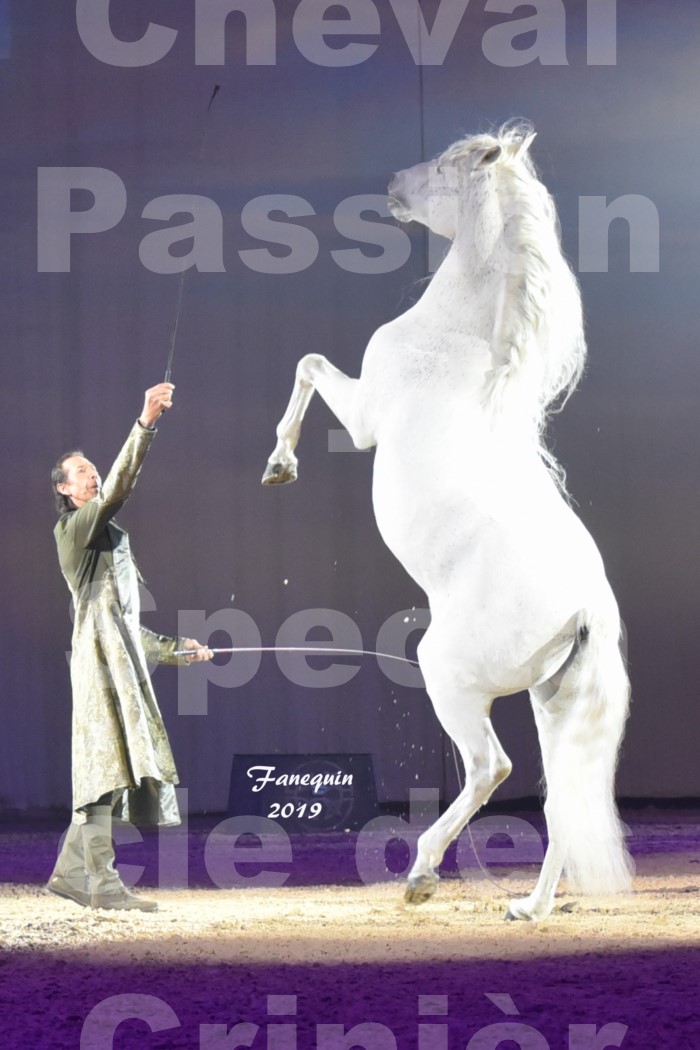 Cheval Passion 2019 - Spectacle des CRINIÈRES d'OR - Frédéric PIGNON & Cheval Gris en liberté - 6