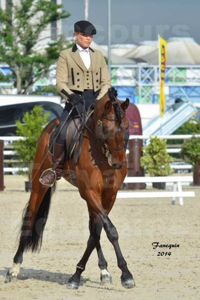 Salon Equitaine de Bordeaux en 2014 - concours Equitation de travail - Épreuve de Dressage - 07