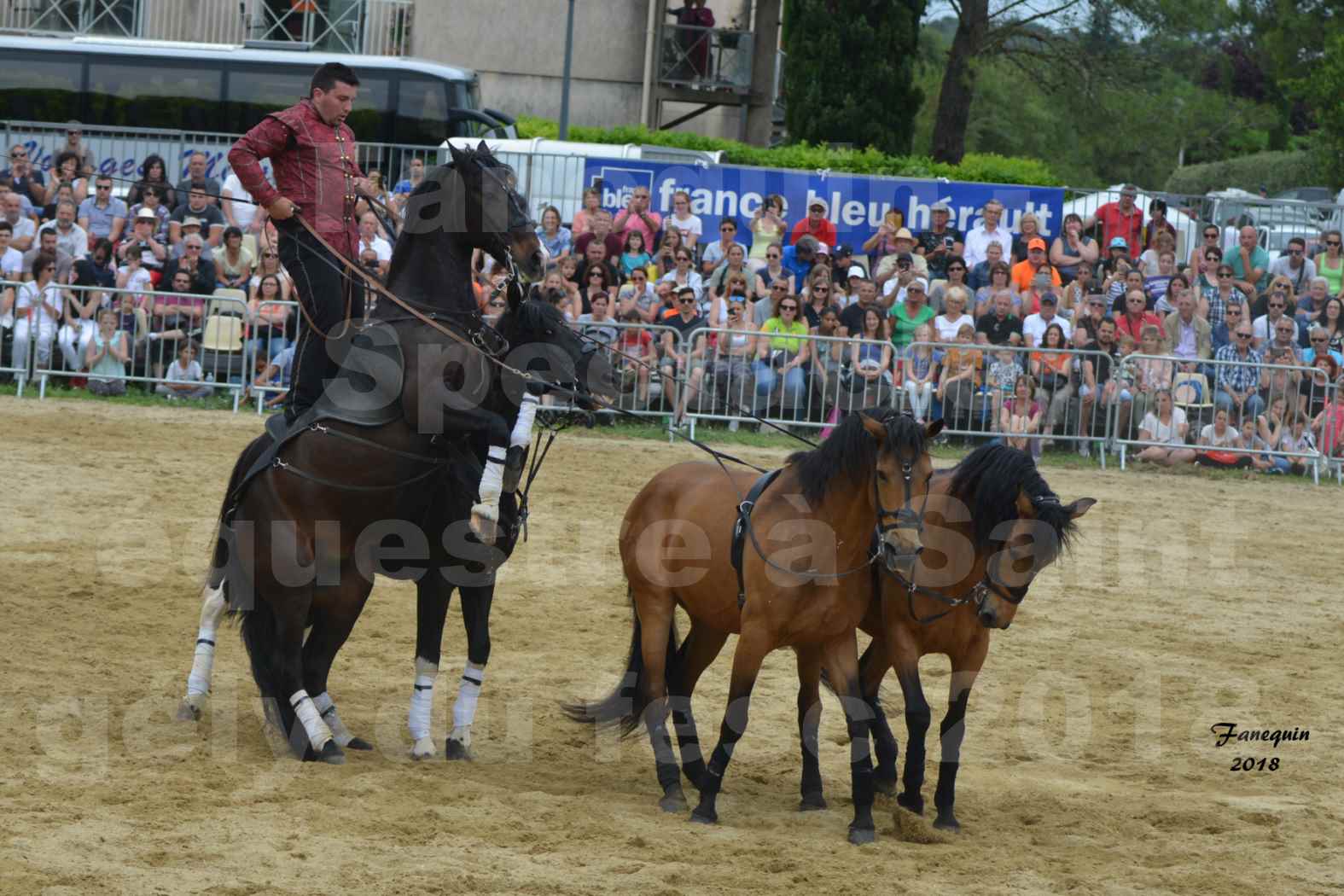 Spectacle Équestre le 3 juin 2018 à Saint Gély du Fesc - Poste Hongroise de 2 à 6 chevaux - Benoît SOUMILLE - 4