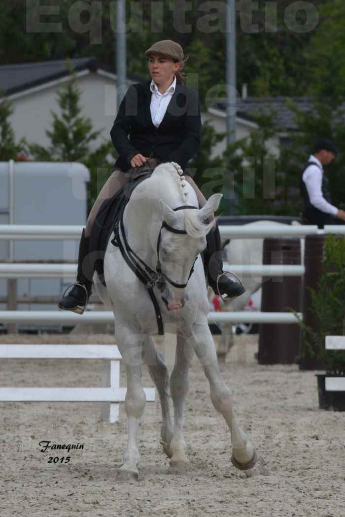 Salon Equitaine de Bordeaux 2015 - Concours d'Equitation de Travail avec chevaux Ibériques - D - 2