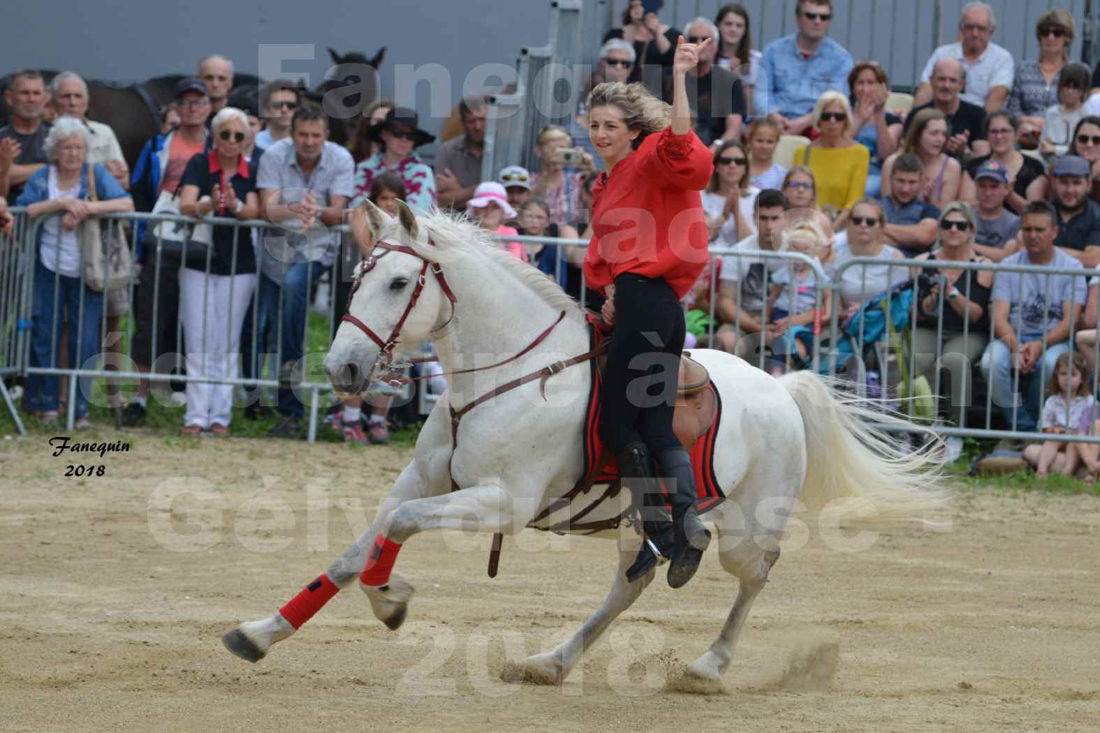 Spectacle Équestre le 3 juin 2018 à Saint Gély du Fesc - Voltige équestre - Troupe de Jean Antoine FIRMIN - 10