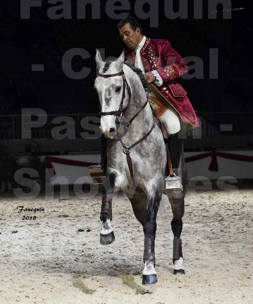 Cheval passion 2018 - Show des éleveurs - Chevaux LUSITANIEN - Tony MARTINS - Notre Sélection - 29