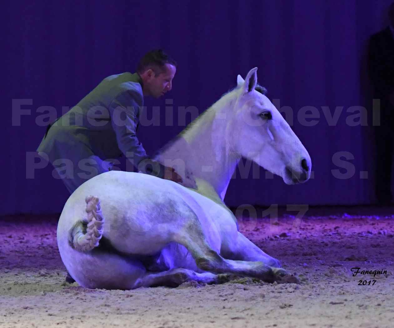 Cheval Passion 2017 - M. I. S. E. C. - Ludovic LONGO & 1 cheval en liberté - 18