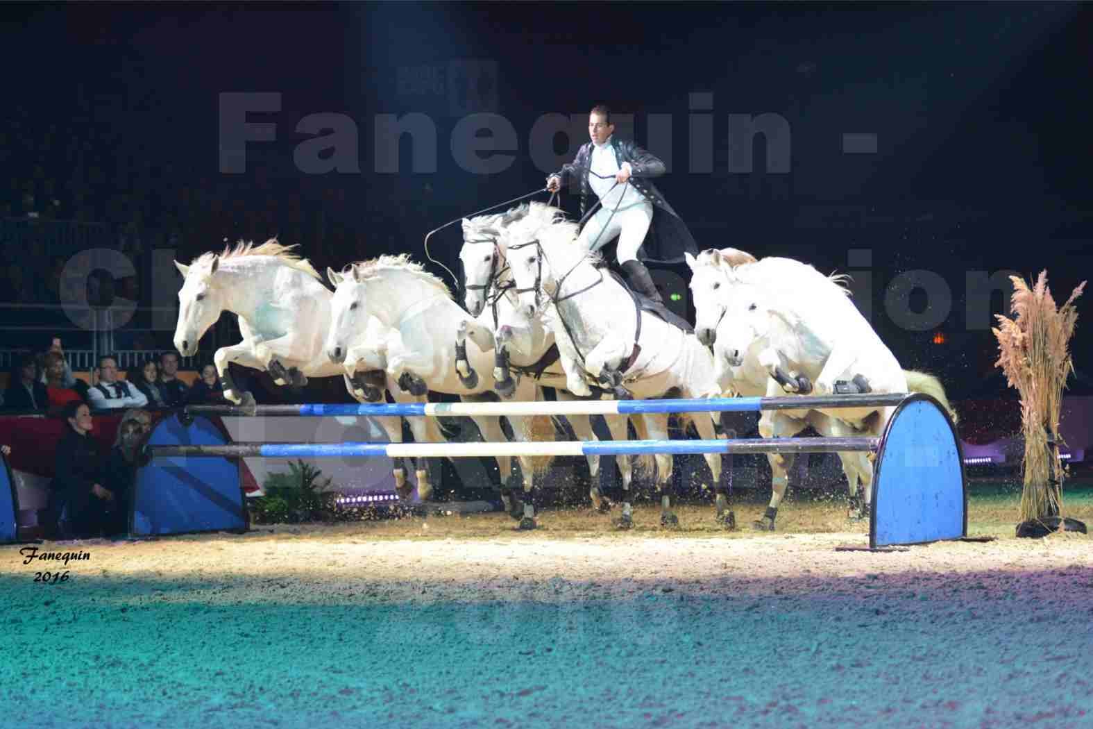 Cheval Passion 2016 - Spectacle les Crinières d'OR - LORENZO "Noir" - représentation du 20 janvier 2016 - 03