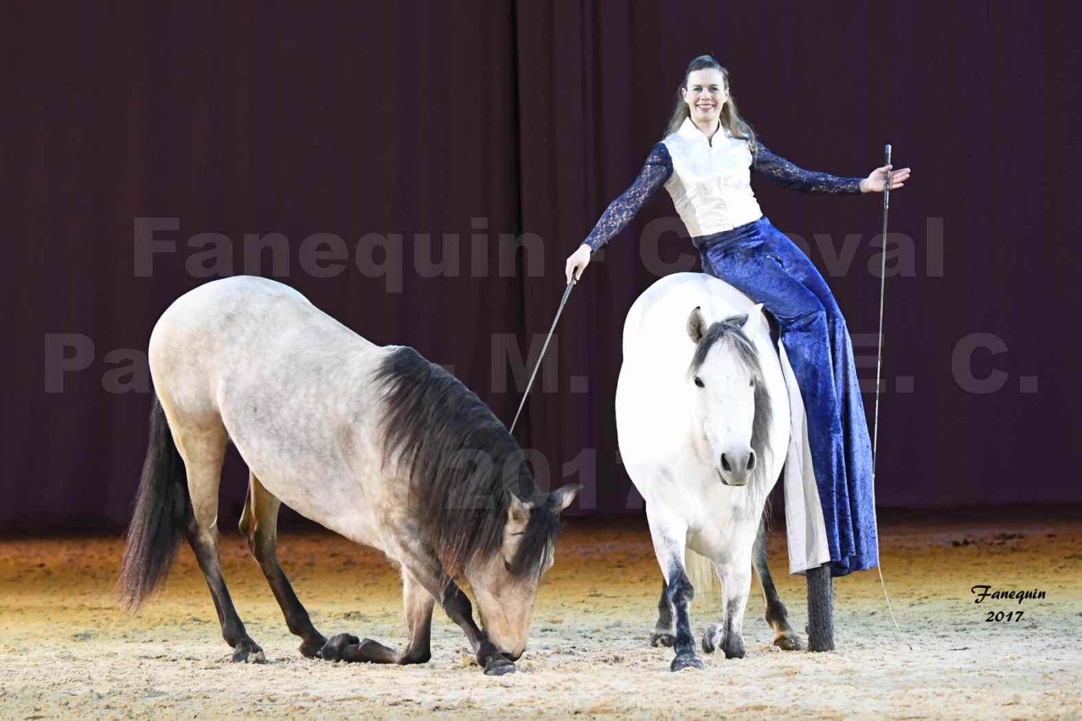 Cheval Passion 2017 - M. I. S. E. C. - Lucie VAUTHIER & 3 chevaux en liberté - 02