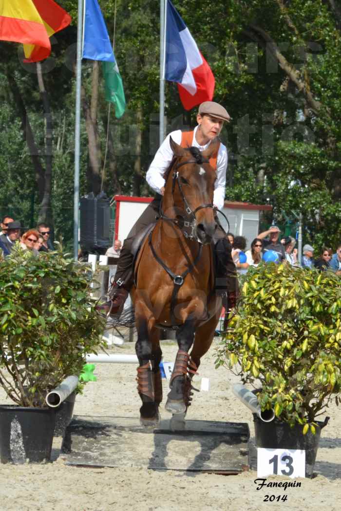 Salon Equitaine de Bordeaux en 2014 - concours Equitation de travail - Épreuve de Maniabilité chronométré - N - 11