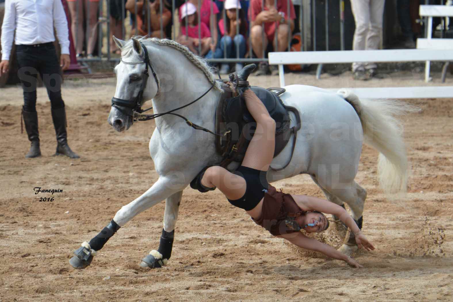 Spectacle équestre le 4 Septembre 2016 au Domaine de GAILLAC - voltige équestre avec la famille HASTALUEGO - 15