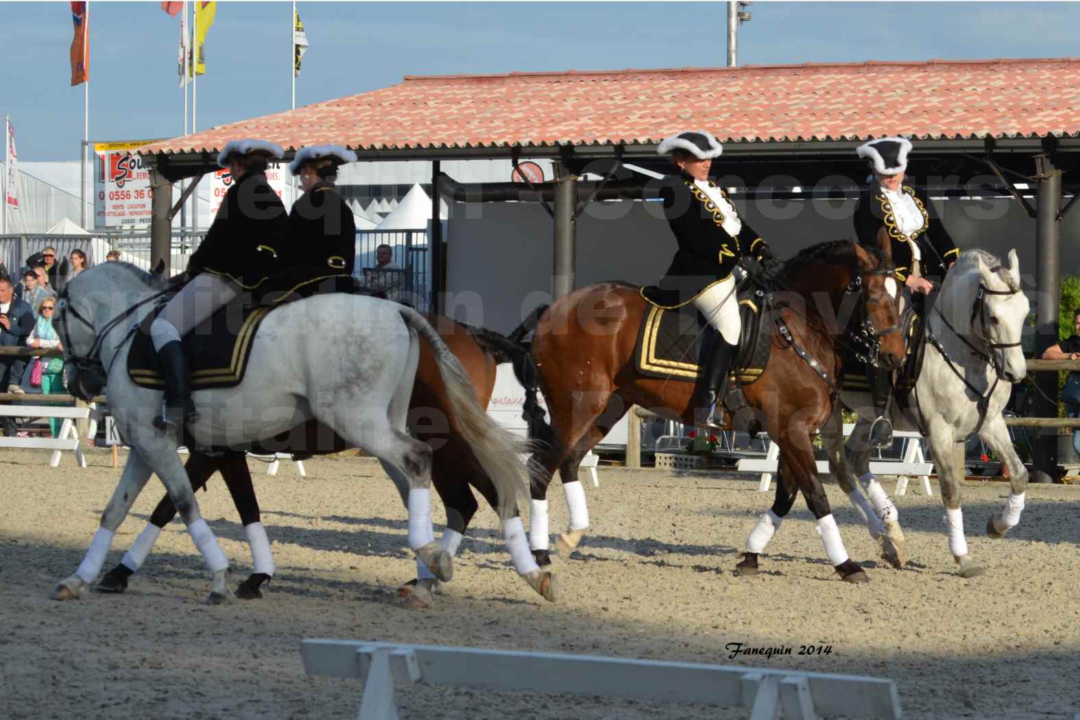 Carrousel de cavalières Equitation de travail lors du salon "Equitaine" à Bordeaux en 2014 - 44