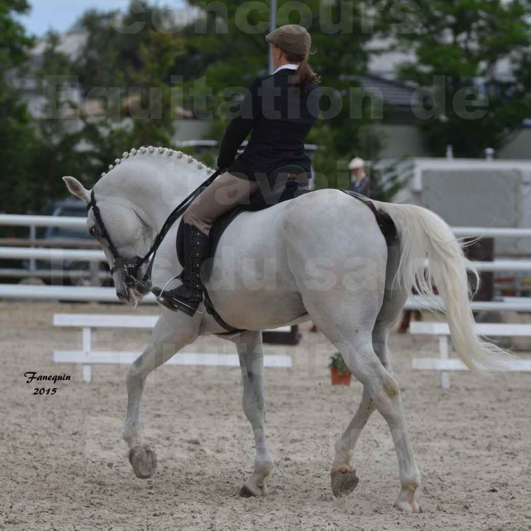 Salon Equitaine de Bordeaux 2015 - Concours d'Equitation de Travail avec chevaux Ibériques - D - 1