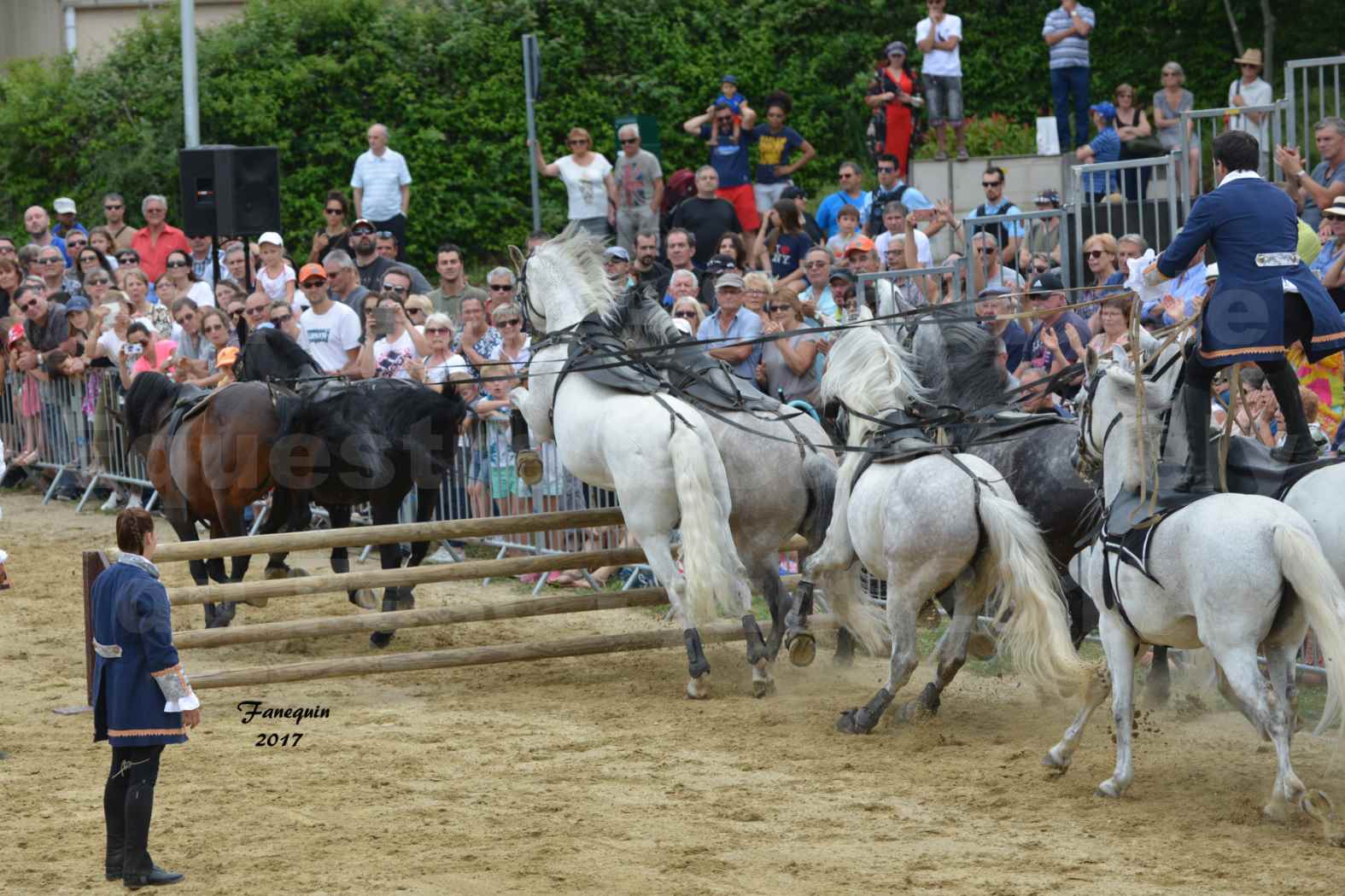 numéro de Poste HONGROISE avec 8 chevaux - Compagnie IMPULSION - Salon Pêche Chasse Nature à Saint Gély du Fesc juin 2017 - 11