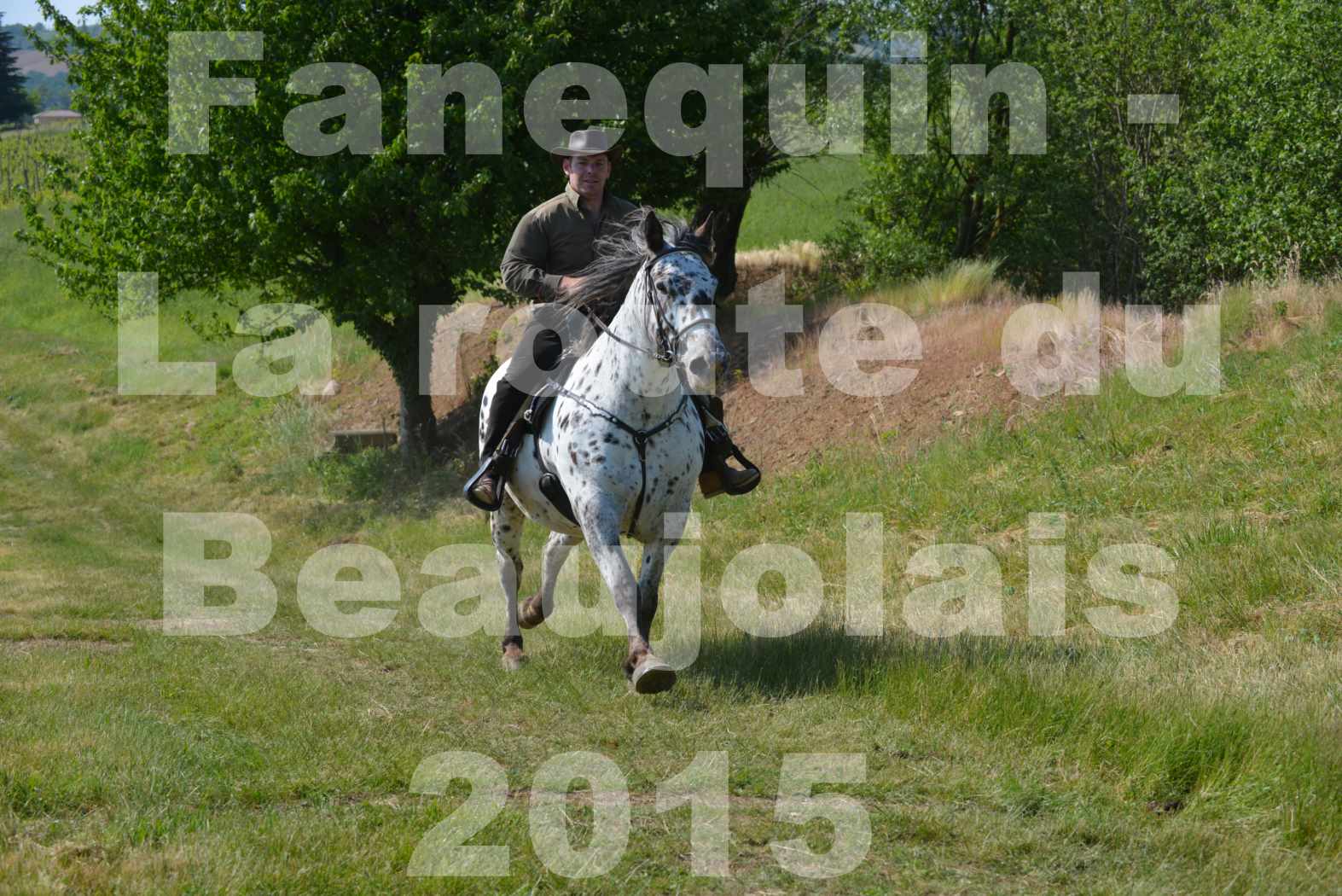 La Route Du Beaujolais 2015 - dimanche 24 mai 2015 - parcours en matinée - 74