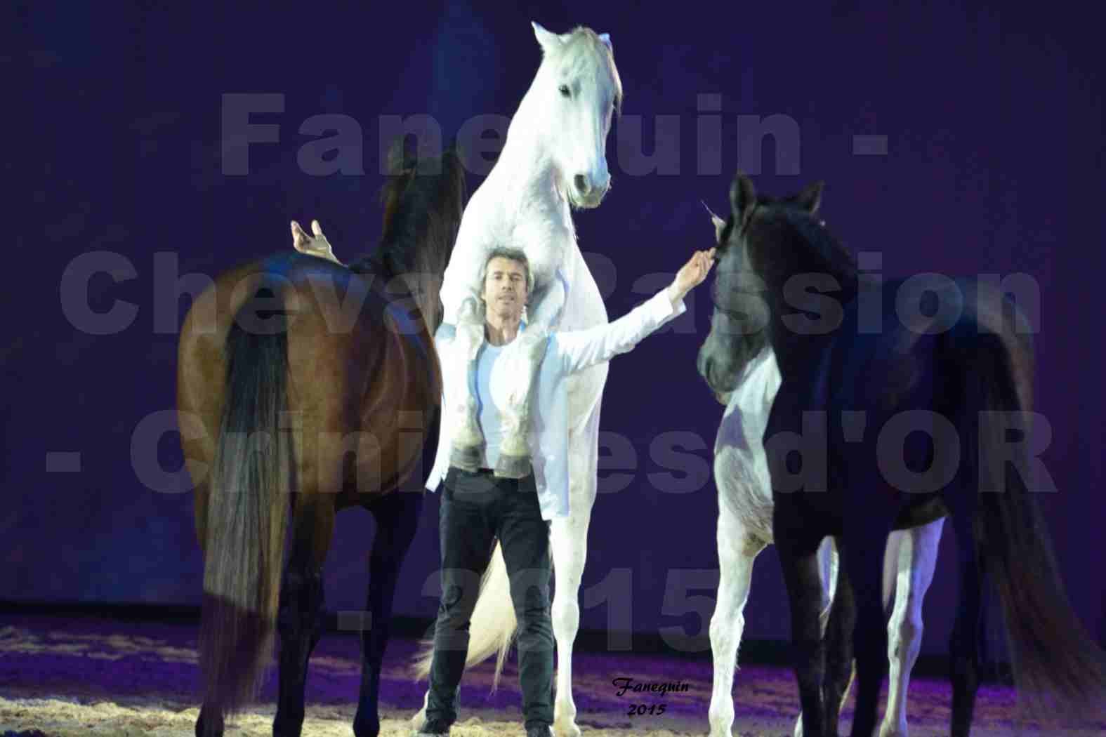 Cheval Passion 2015 - Les Crinières d'OR - Jean François PIGNON - 1