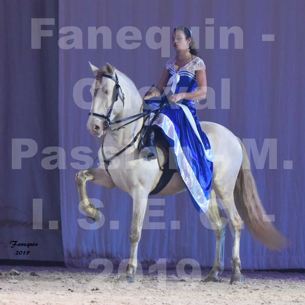 Cheval Passion 2019 - M. I. S. E. C. - Christelle TOMAS - 2