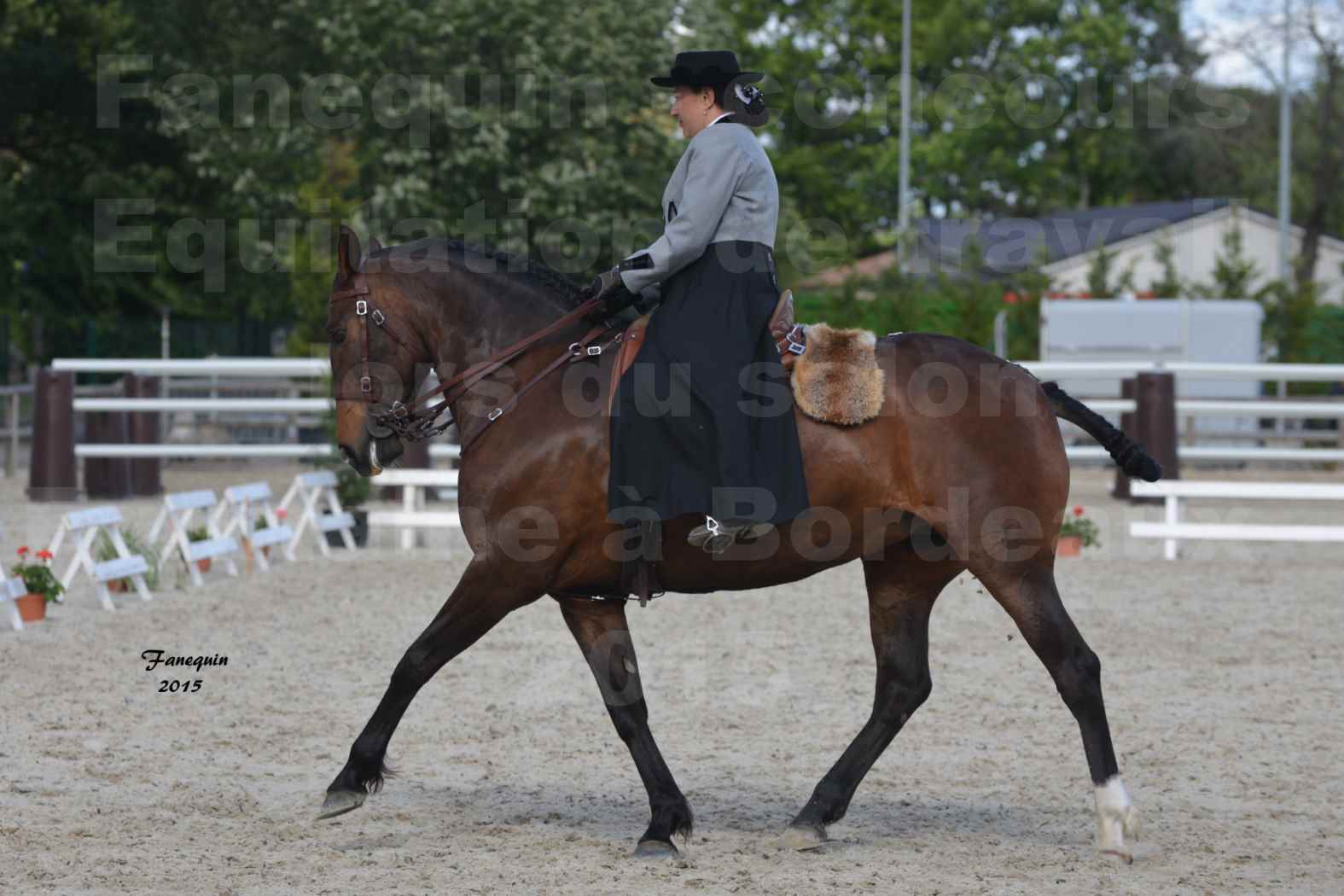 Salon Equitaine de Bordeaux 2015 - Concours d'Equitation de Travail avec chevaux Ibériques - C - 2