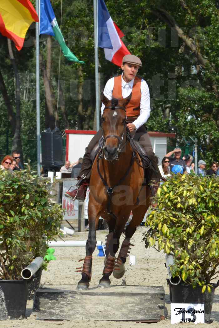 Salon Equitaine de Bordeaux en 2014 - concours Equitation de travail - Épreuve de Maniabilité chronométré - N - 09