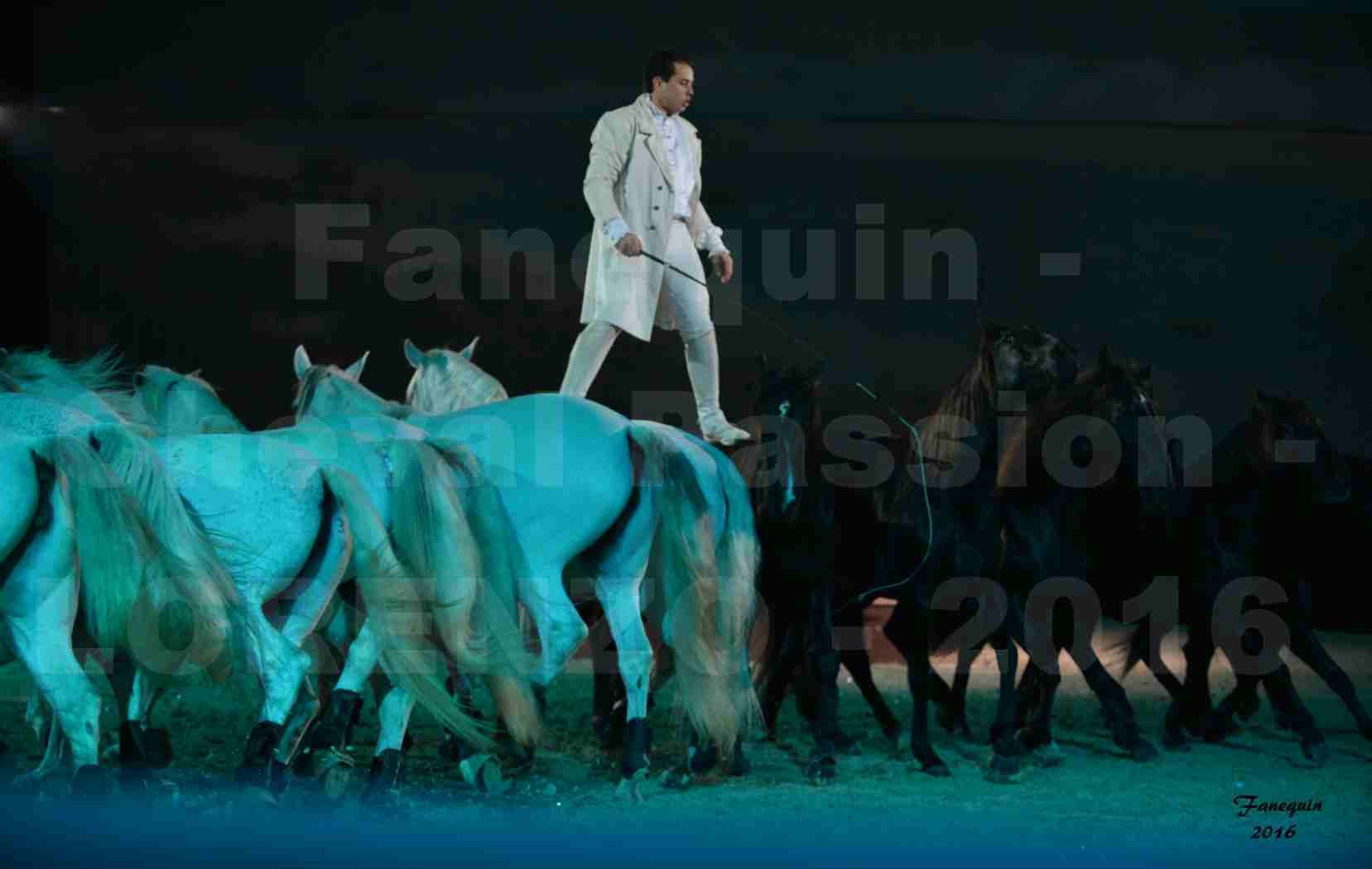 Cheval Passion 2016 - Spectacle les Crinières d'OR - LORENZO "Blanc" - représentation du 20 janvier 2016 - 22