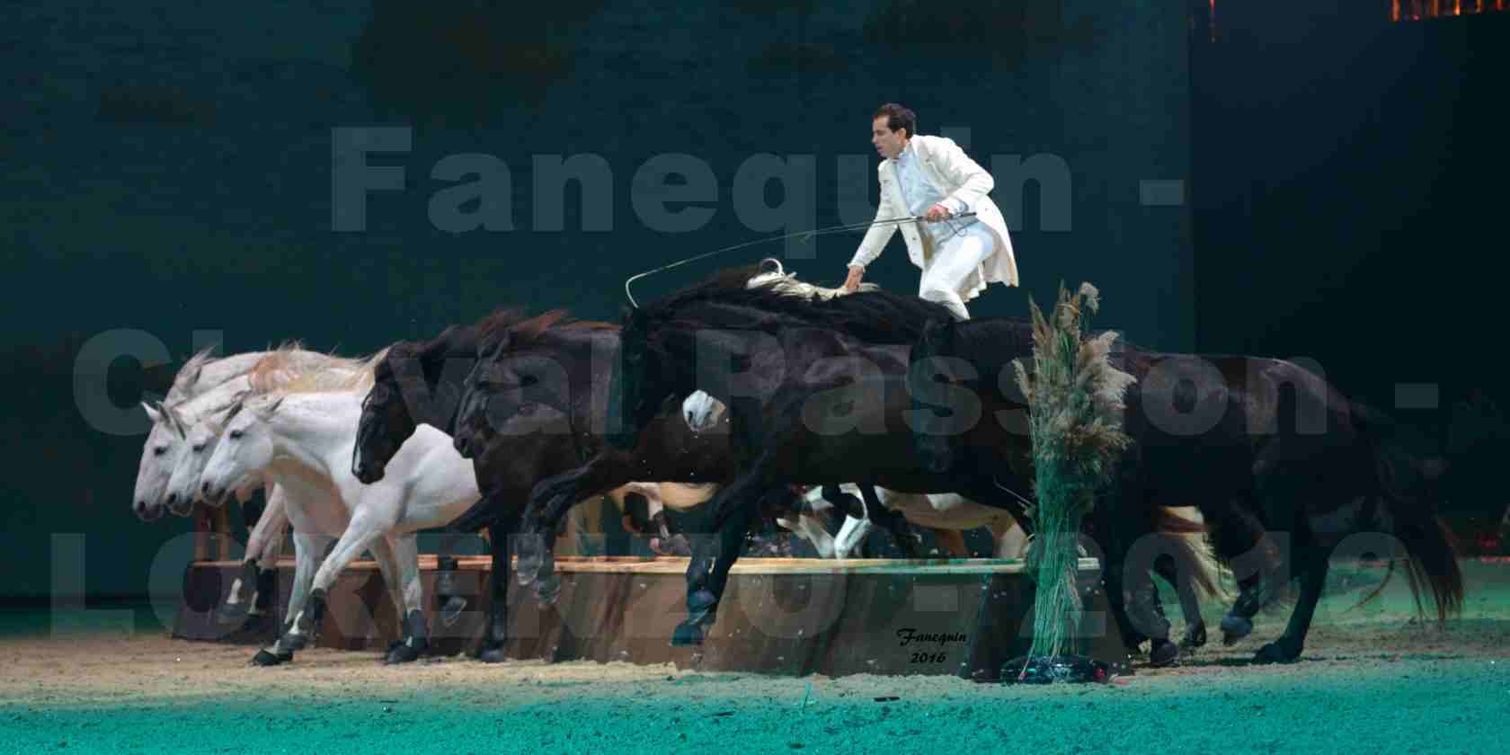 Cheval Passion 2016 - Spectacle les Crinières d'OR - LORENZO "Blanc" - représentation du 23 janvier 2016 - 14