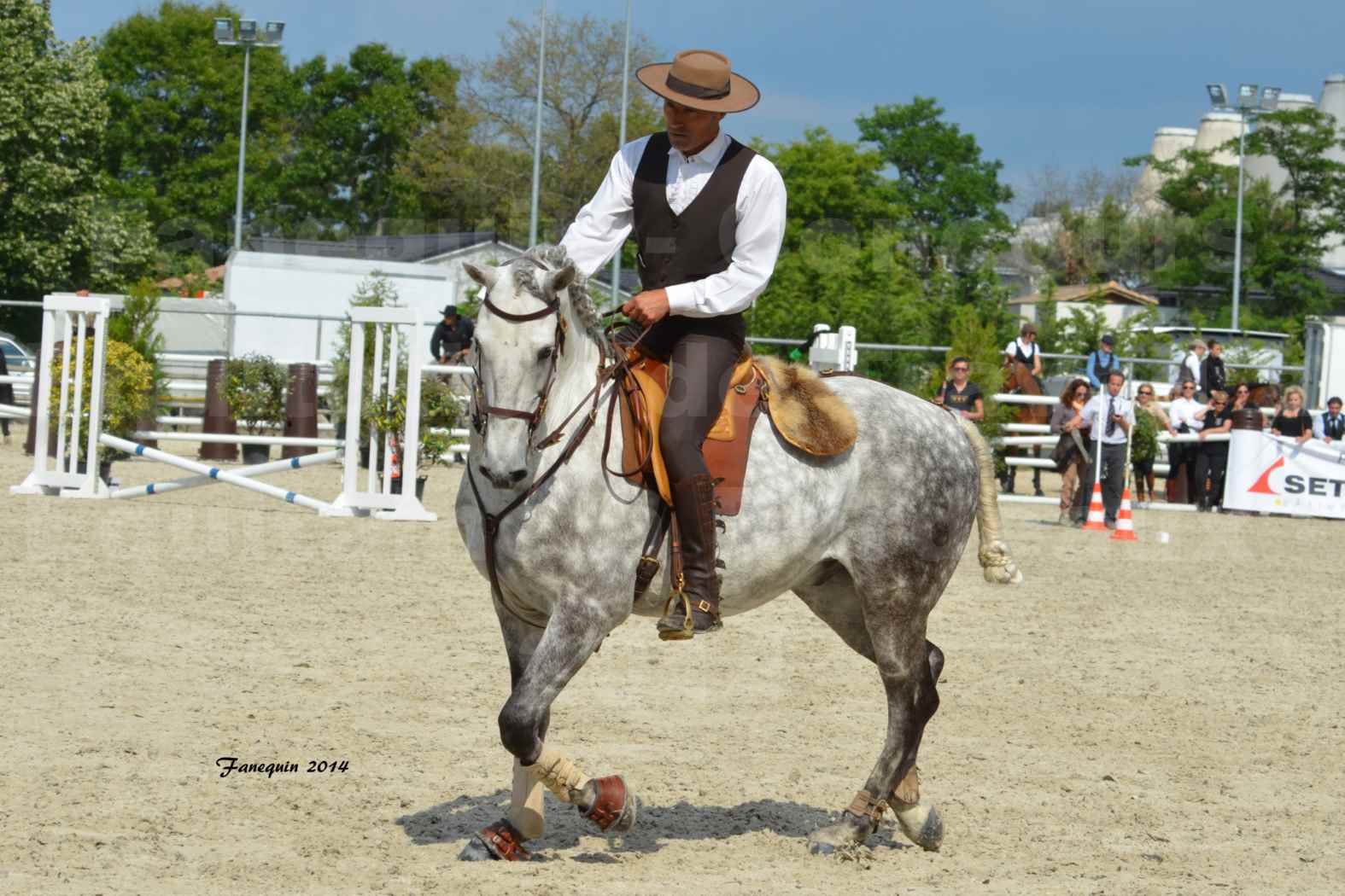 Salon Equitaine de Bordeaux en 2014 - concours Equitation de travail - Épreuve de Maniabilité chronométré - P - 12