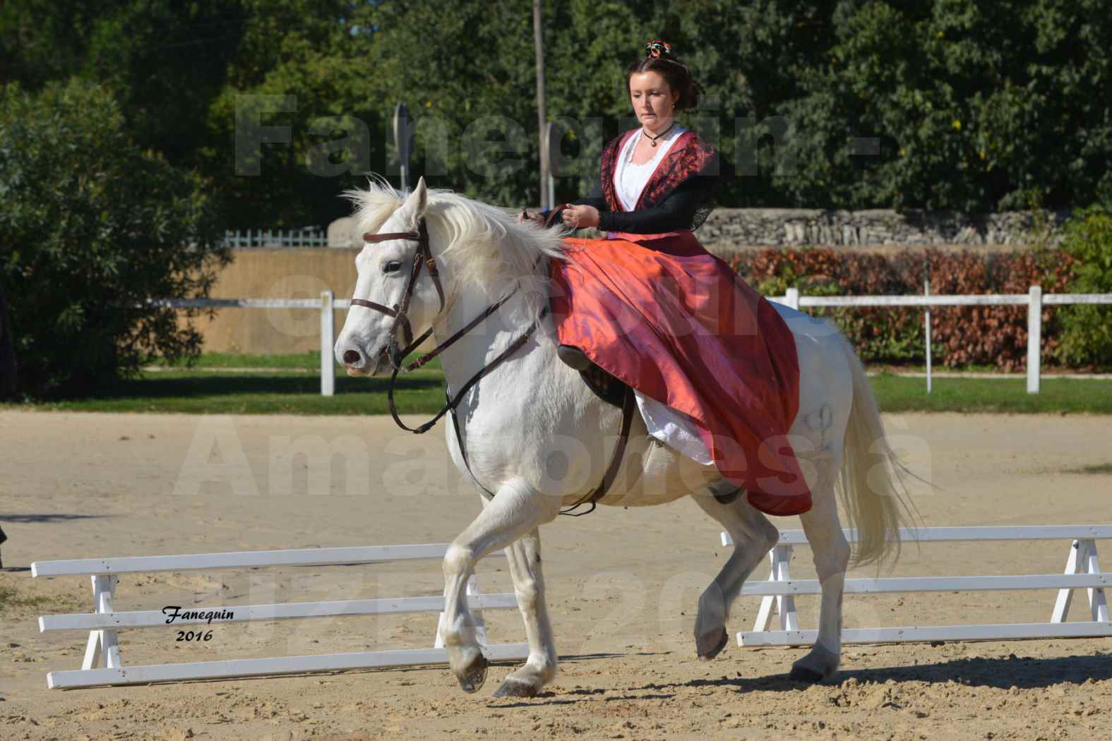 Concours Élégance d'Amazone au Haras d'UZES en Octobre 2016 - Léa CONTE - 06