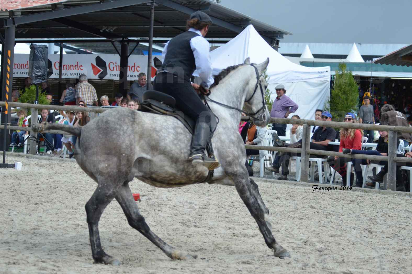 Salon Equitaine de Bordeaux en 2014 - concours Equitation de travail - Épreuve de Maniabilité chronométré - J - 1