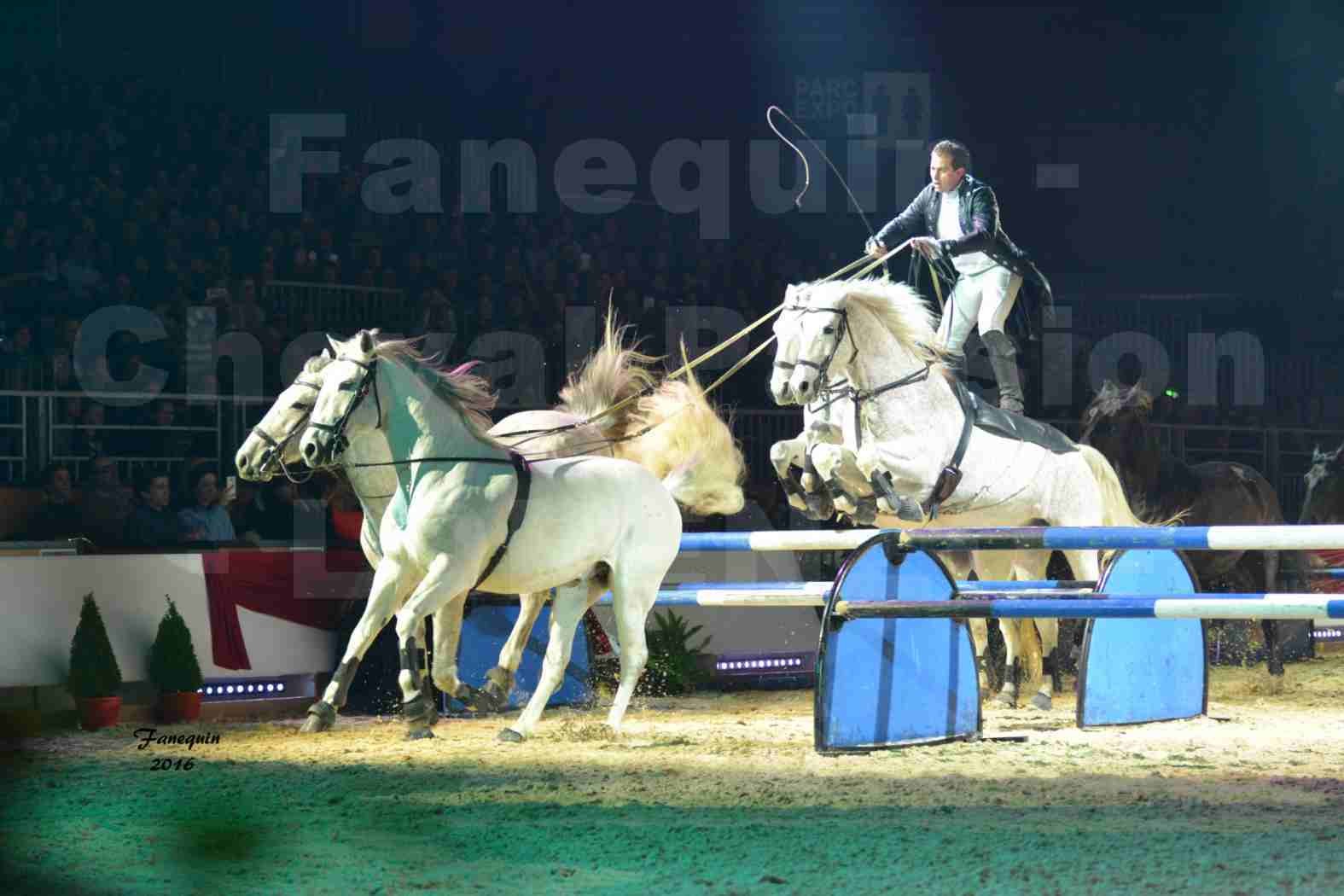 Cheval Passion 2016 - Spectacle les Crinières d'OR - LORENZO "Noir" - représentation du 20 janvier 2016 - 10