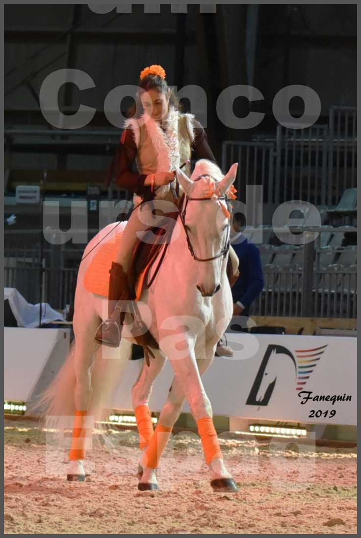 Cheval Passion 2019 - Concours de Pas Espagnol - Étalon "ZIDANE" - 15