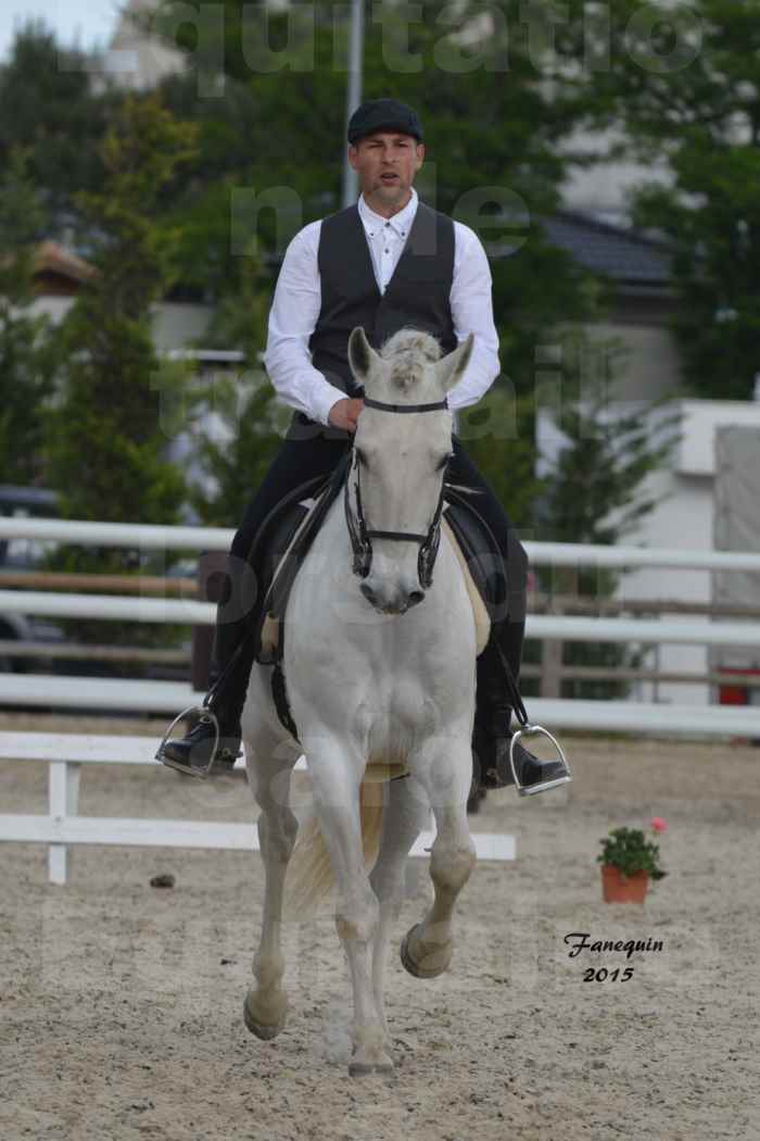 Salon Equitaine de Bordeaux 2015 - Concours d'Equitation de Travail avec chevaux Ibériques - H - 2