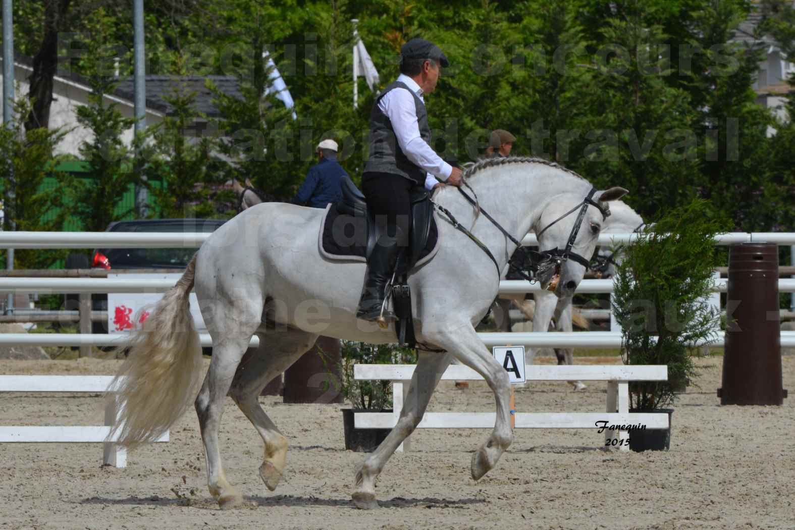 Salon Equitaine de Bordeaux 2015 - Concours d'Equitation de Travail avec chevaux Ibériques - X - 11