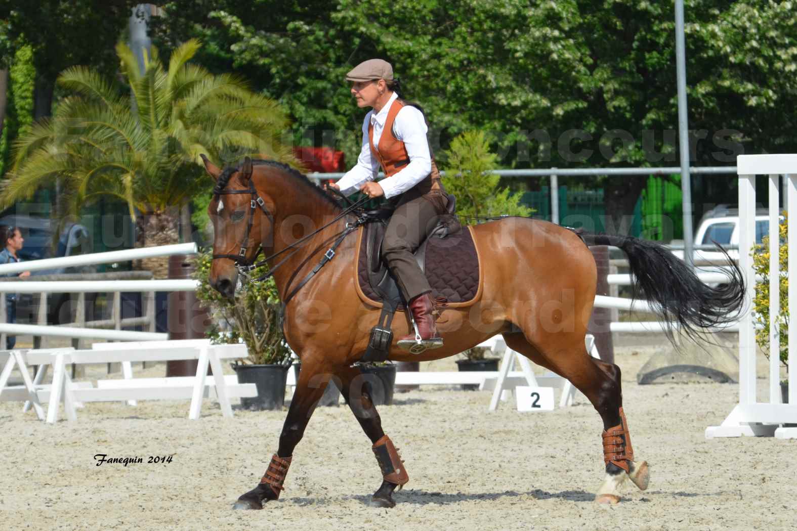 Salon Equitaine de Bordeaux en 2014 - concours Equitation de travail - Épreuve de Maniabilité chronométré - N - 06