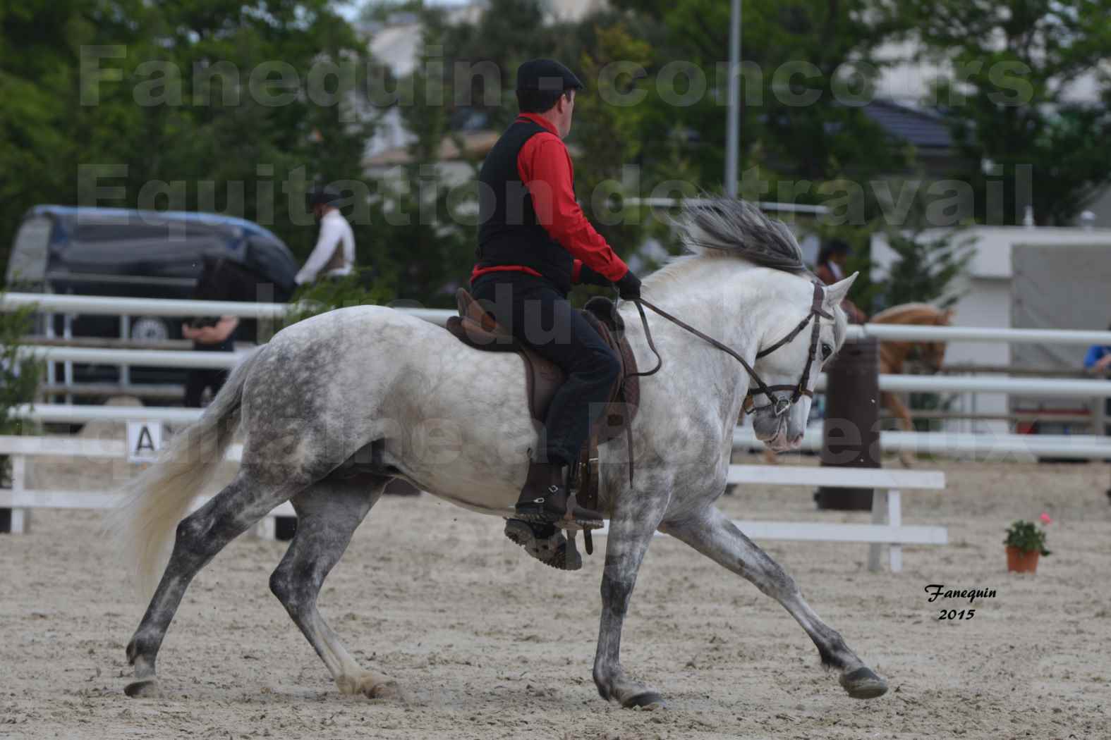 Salon Equitaine de Bordeaux 2015 - Concours d'Equitation de Travail avec chevaux Ibériques - Q - 3