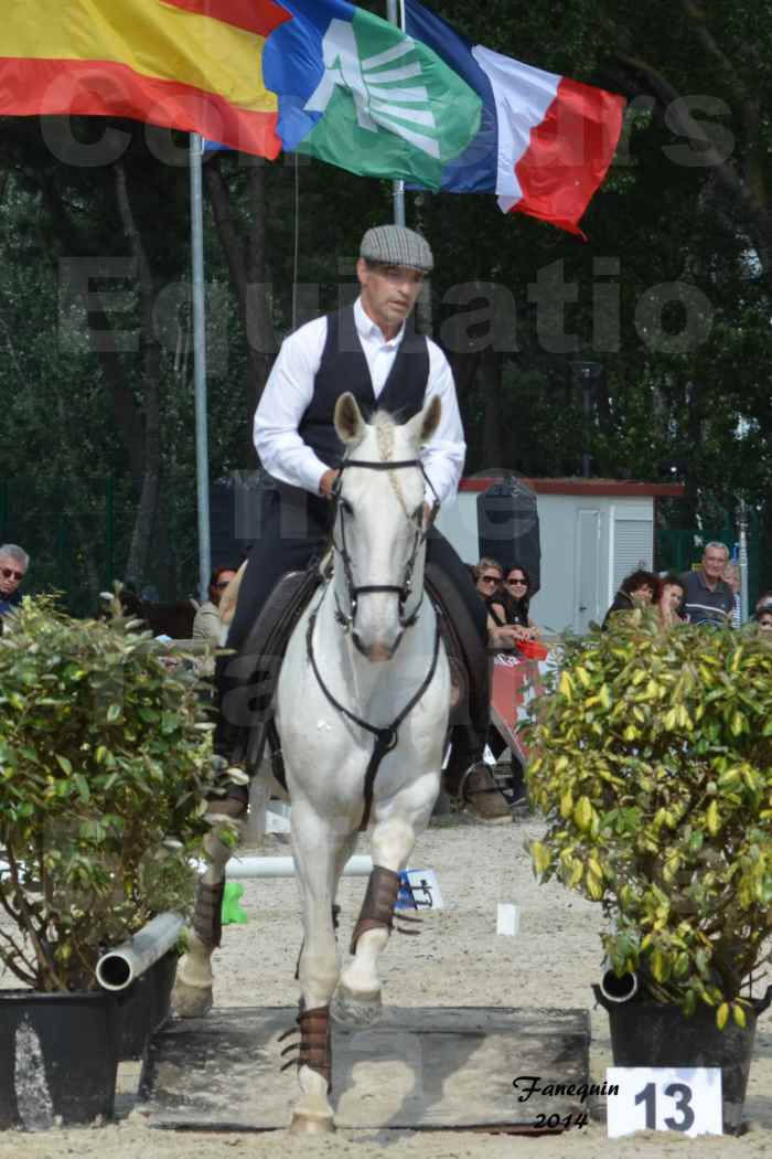 Salon Equitaine de Bordeaux en 2014 - concours Equitation de travail - Épreuve de Maniabilité chronométré - H - 14