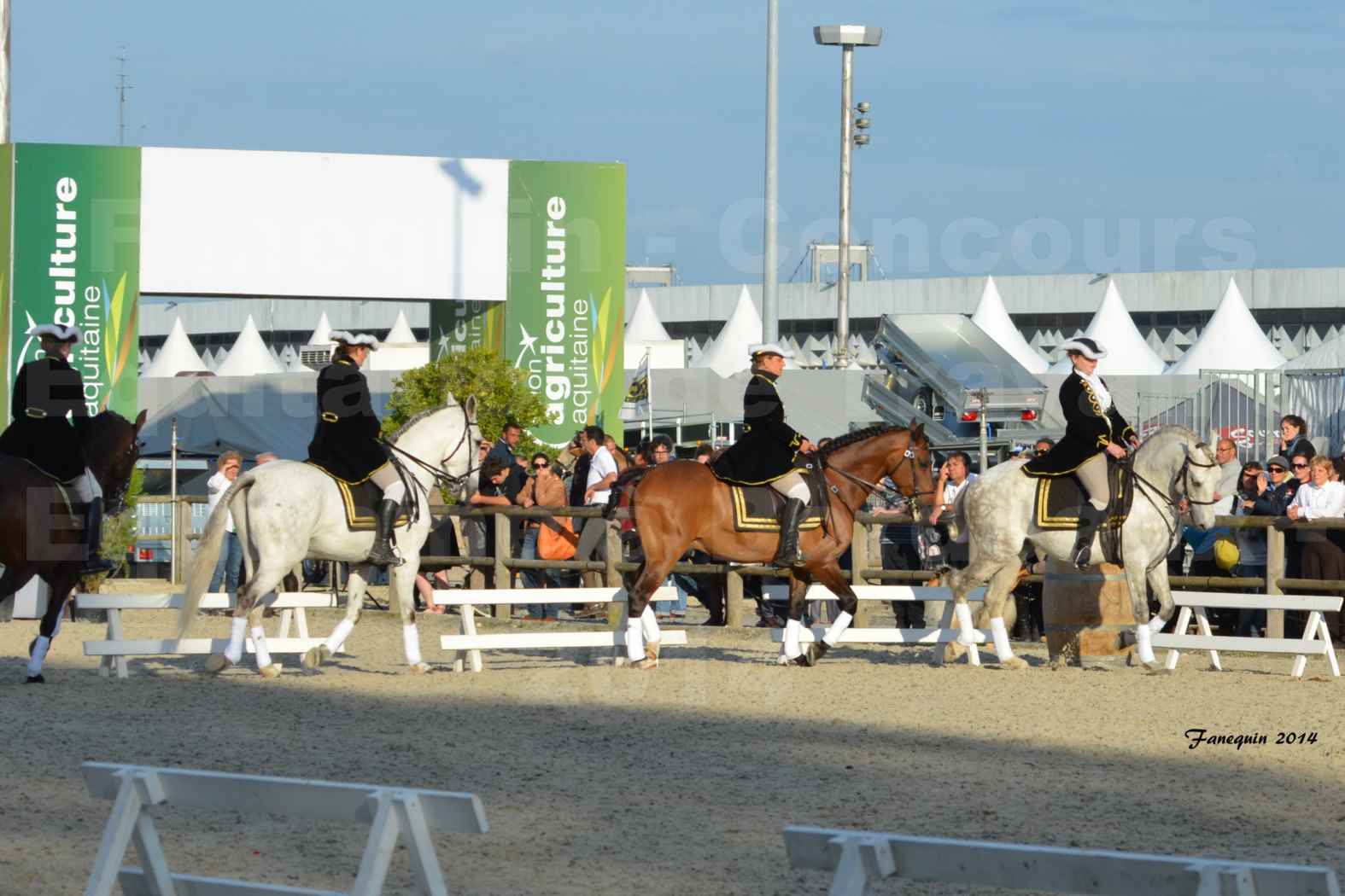 Carrousel de cavalières Equitation de travail lors du salon "Equitaine" à Bordeaux en 2014 - 11