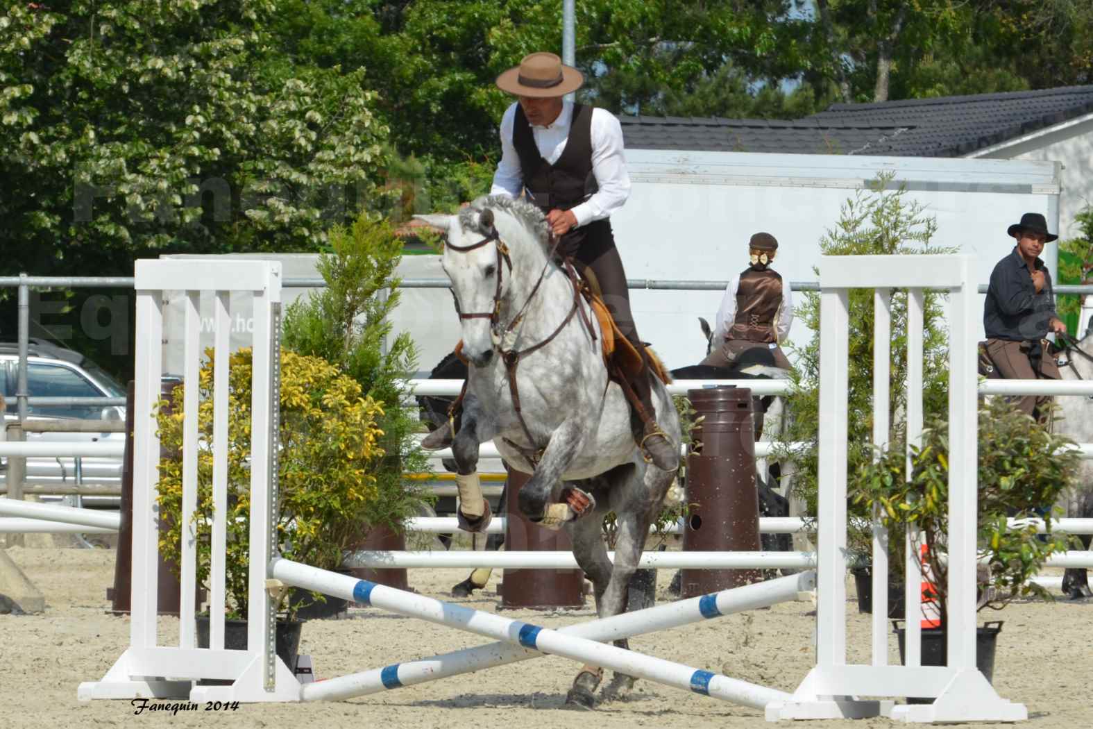 Salon Equitaine de Bordeaux en 2014 - concours Equitation de travail - Épreuve de Maniabilité chronométré - P - 34