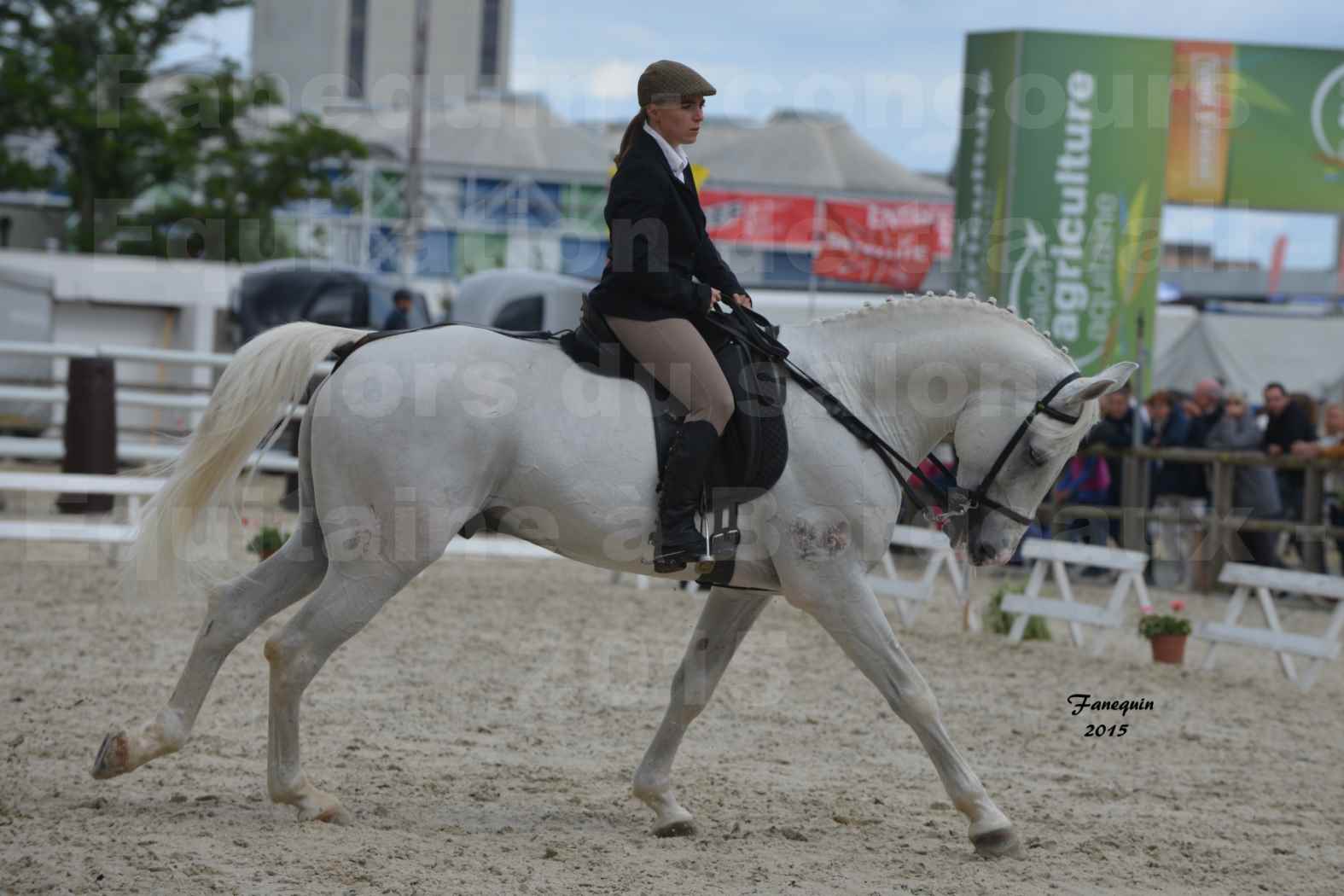 Salon Equitaine de Bordeaux 2015 - Concours d'Equitation de Travail avec chevaux Ibériques - D - 4