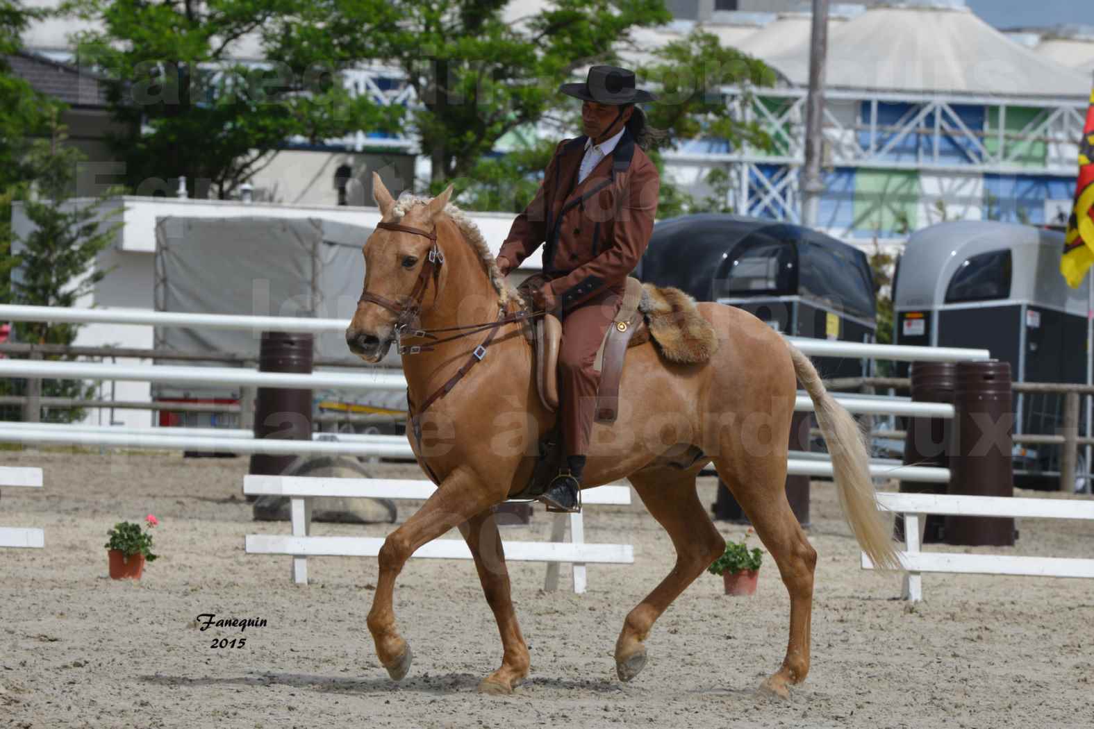 Salon Equitaine de Bordeaux 2015 - Concours d'Equitation de Travail avec chevaux Ibériques - T - 2