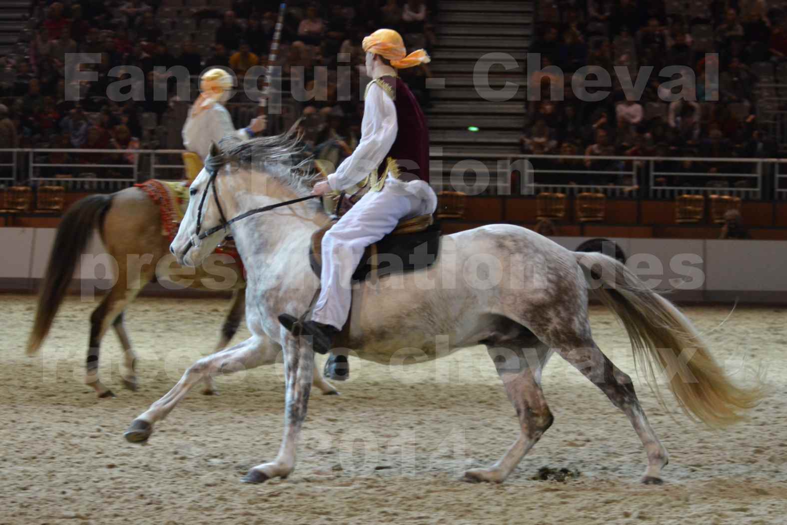 Cheval Passion 2014 - Chevaux BARBES - Notre Sélection - 33