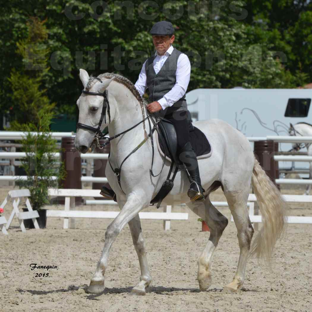 Salon Equitaine de Bordeaux 2015 - Concours d'Equitation de Travail avec chevaux Ibériques - X - 8