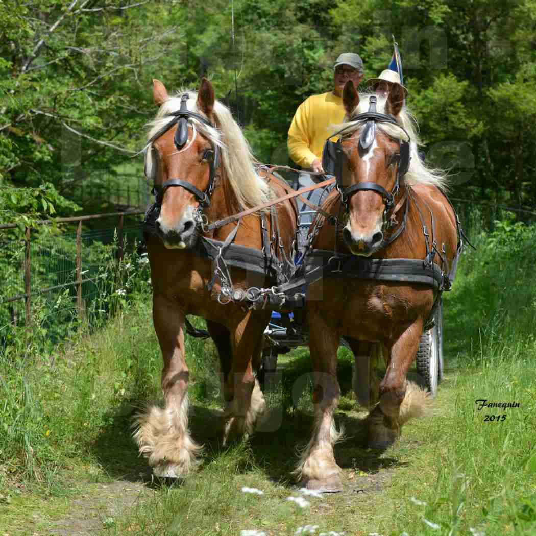 La Route Du Beaujolais 2015 - samedi 23 mai 2015 - parcours en après midi - 21