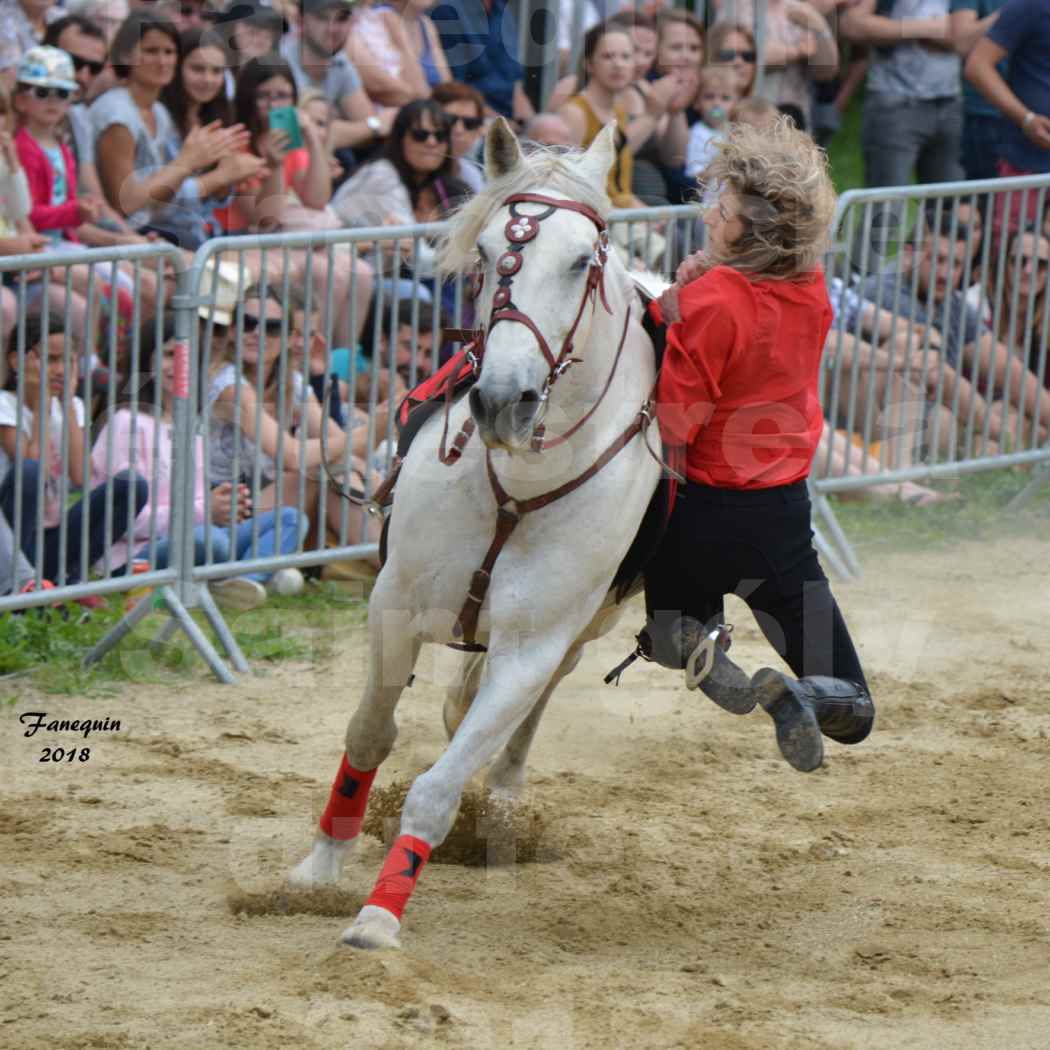 Spectacle Équestre le 3 juin 2018 à Saint Gély du Fesc - Voltige équestre - Troupe de Jean Antoine FIRMIN - 79