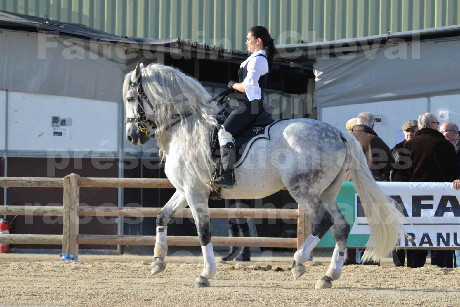 Cheval Passion 2014 - Frédériq VIGNE - Notre Sélection - 03