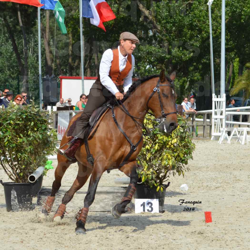 Salon Equitaine de Bordeaux en 2014 - concours Equitation de travail - Épreuve de Maniabilité chronométré - N - 12