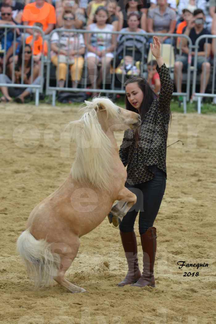 Spectacle Équestre le 3 juin 2018 à Saint Gély du Fesc - 5 chevaux en liberté - Anne Gaëlle BERTHO - 10