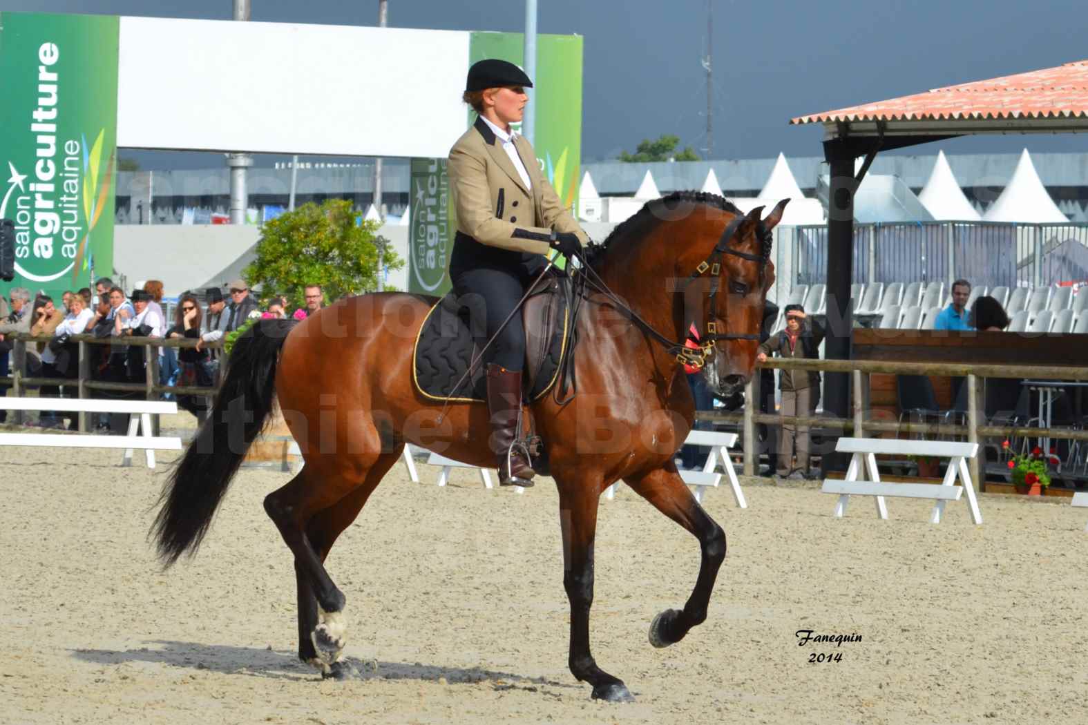 Salon Equitaine de Bordeaux en 2014 - concours Equitation de travail - Épreuve de Dressage - 01